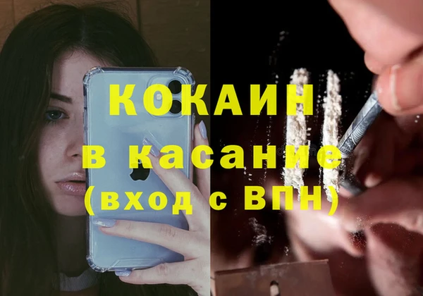 прущий лед Богданович
