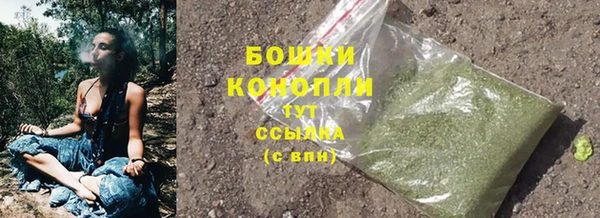 прущий лед Богданович