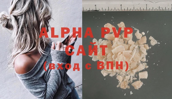 прущий лед Богданович