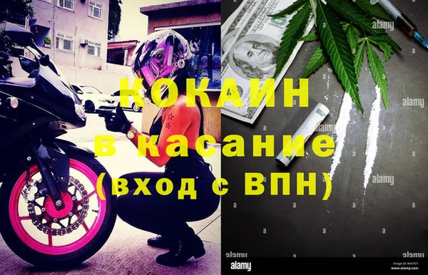 прущий лед Богданович