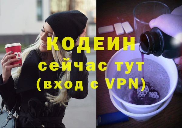 прущий лед Богданович