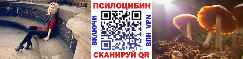 Галлюциногенные грибы прущие грибы  Купить где  Трубчевск 